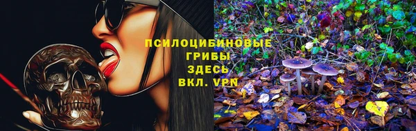 героин Алексин