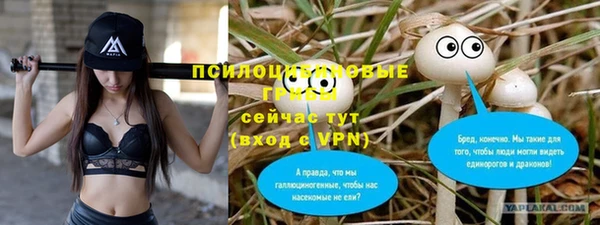 дживик Алзамай