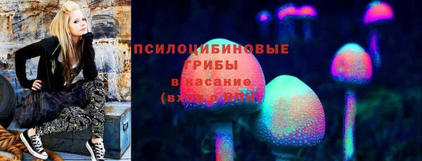 ALPHA-PVP Алексеевка