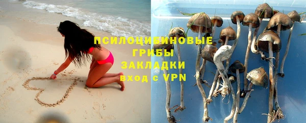 дживик Алзамай